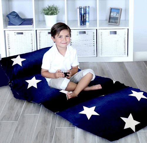 Butterfly craze floor - butterfly, pillow