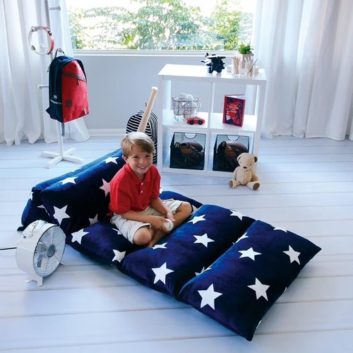 Butterfly craze floor pillow - butterfly,