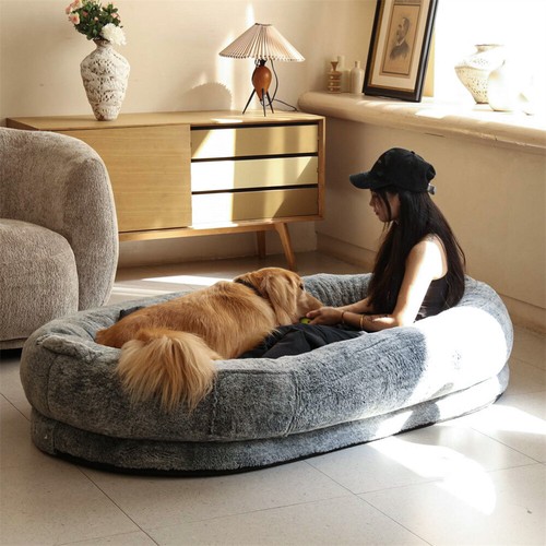 Extra large human - pet, dog