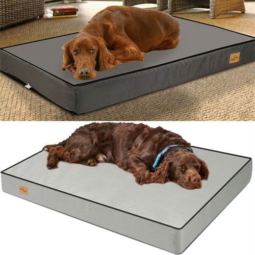 Orthopedic dog bed - dog,